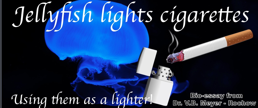 jellyfish lighter cigarette fire