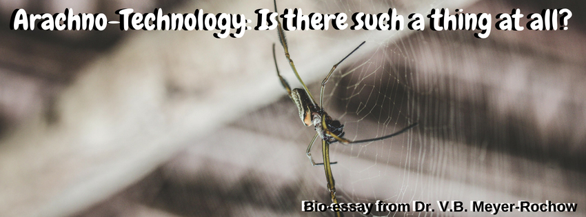 biology zoology blog spider web spiders arachneid